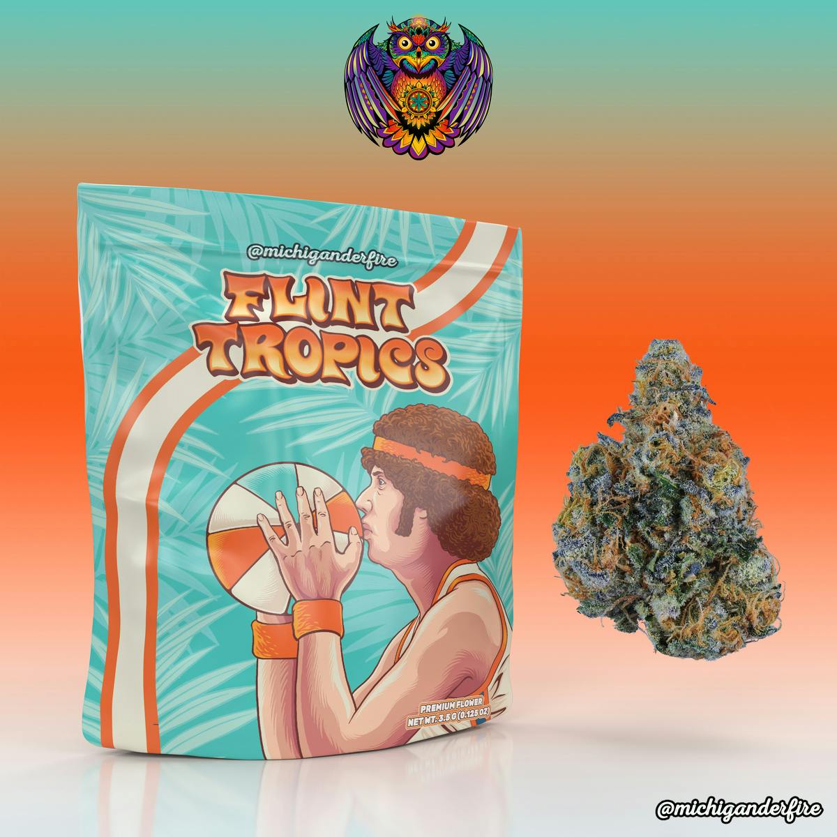 Michigander Fire - Flint Tropics - image 1