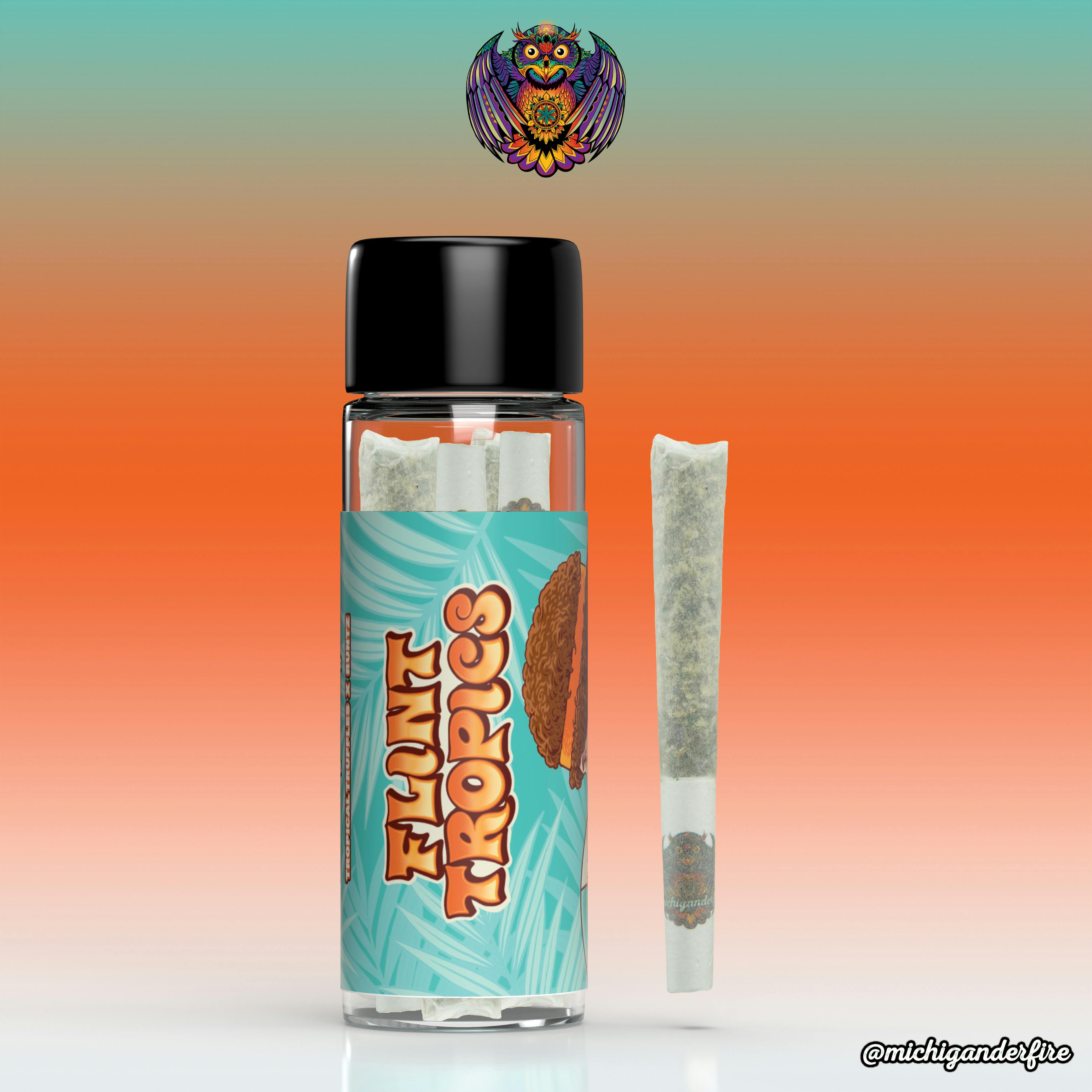 Michigander Fire - Flint Tropics - image 1