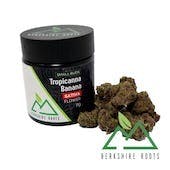 Tropicanna Banana Smalls | 7g - image 1