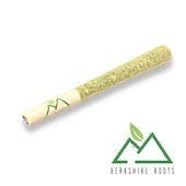Mandarin Cookies Pre-Rolls | .75g - image 1
