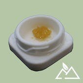 Star Pupil LIVE Sugar | .5g - image 1