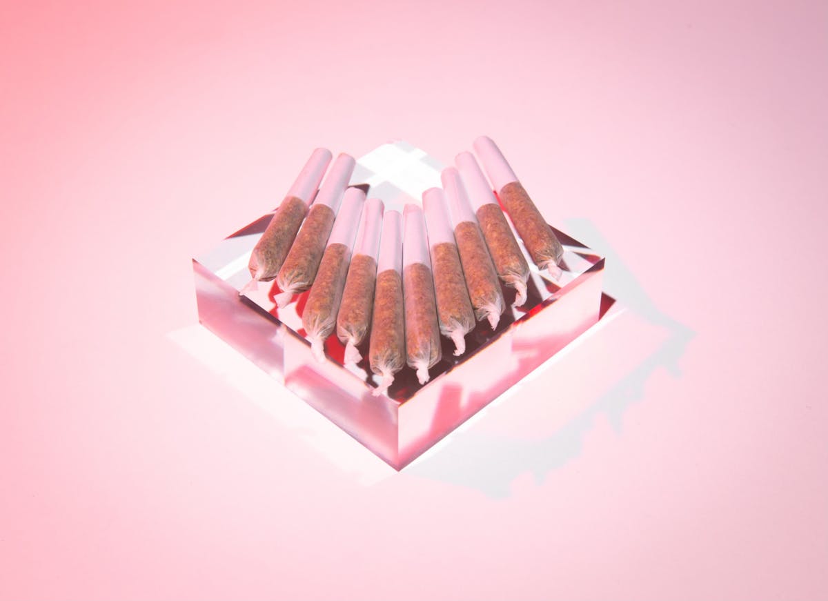 Forte Mini Pre-Rolls - Mimosa EVO (MEVO) - image 1