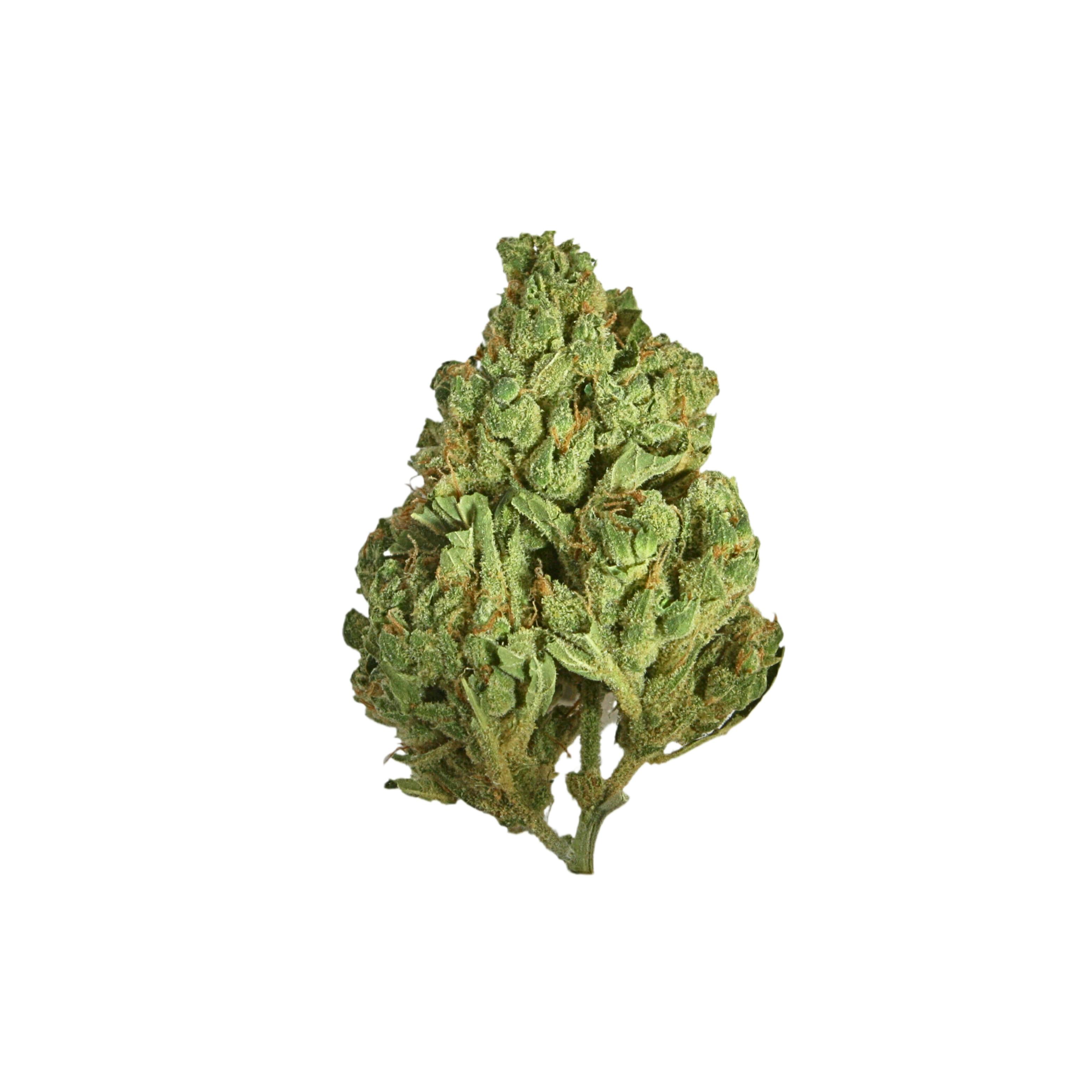 Purple Thai 1/2 oz. - image 1