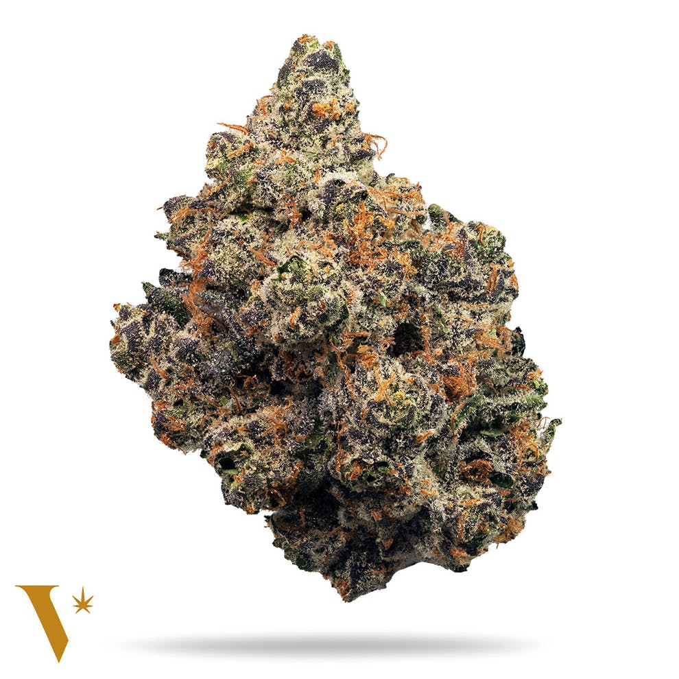 Apple Fritter [14g] - image 1