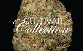 GMO x OZ - 3.5g Premium Flower - image 1