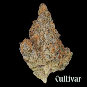 Tropicanna Cookies - 3.5g Premium Flower - image 1