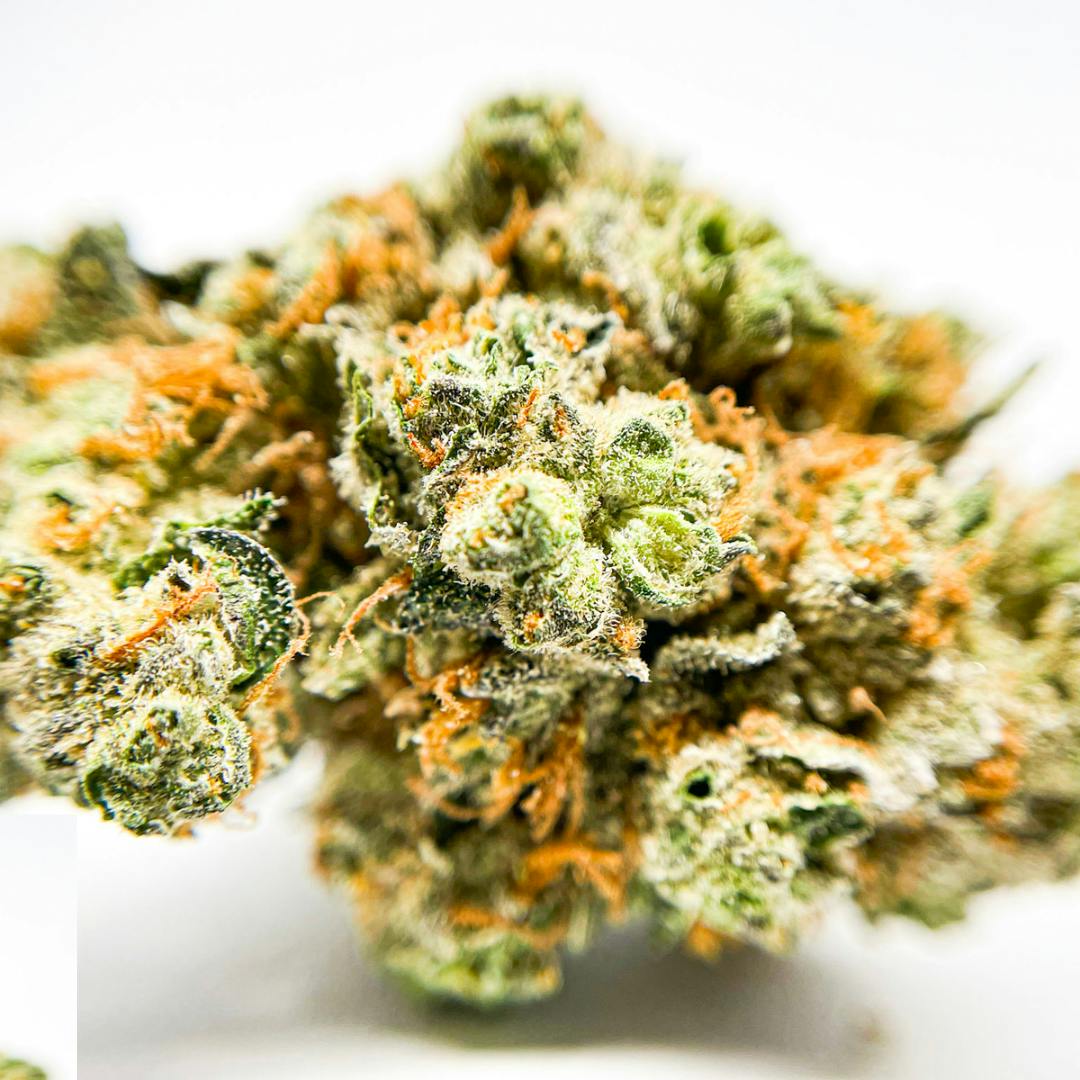 Bad N' Boujee 3.5g Flower - image 1