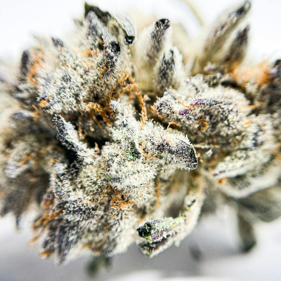 Bread & Butter 3.5g Flower - image 1