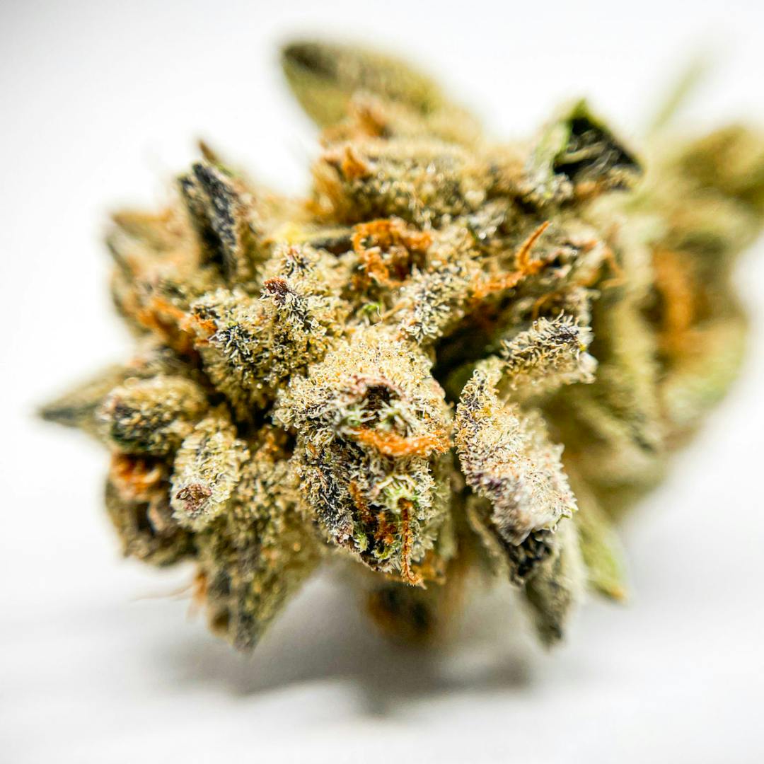 Dreamsicle 3.5g Flower - image 1