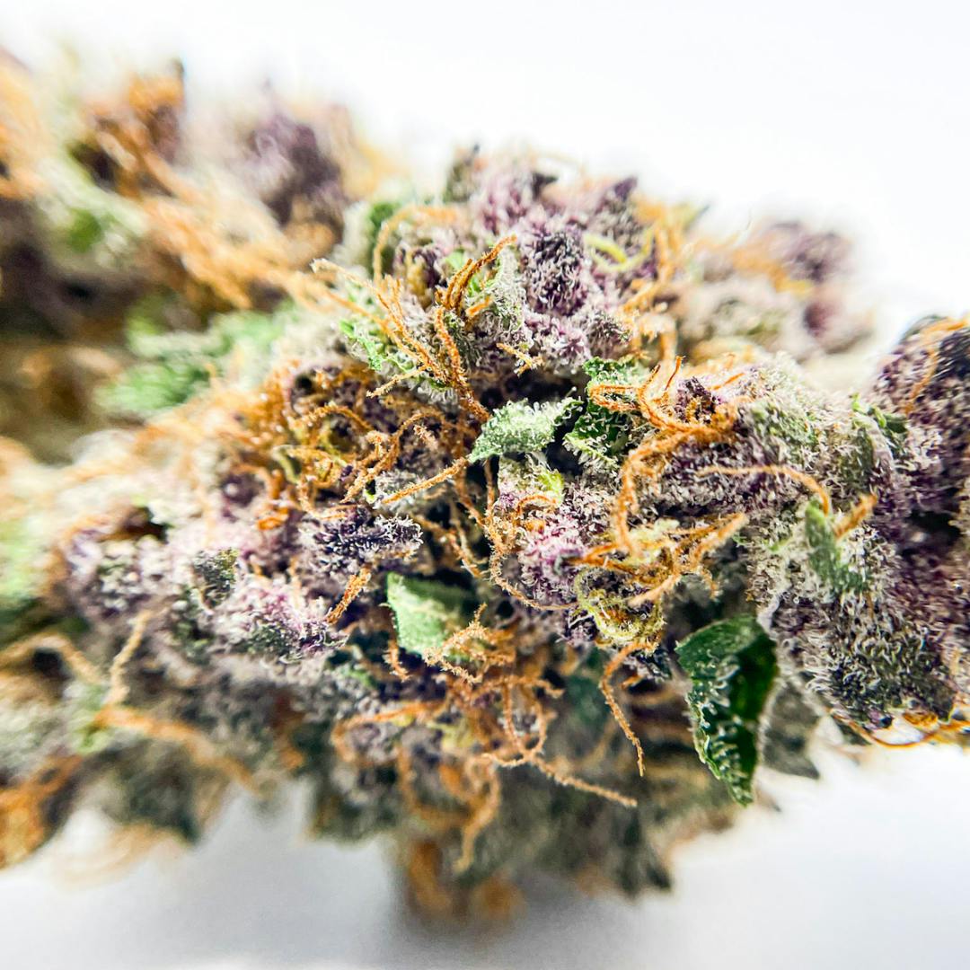 Purple Marmalade 3.5G Flower - image 1