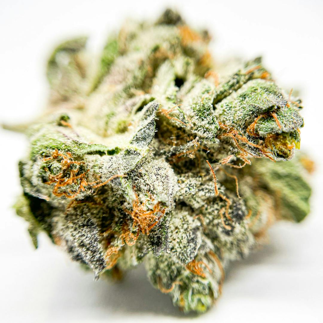 Red Berries 3.5G Flower - image 1