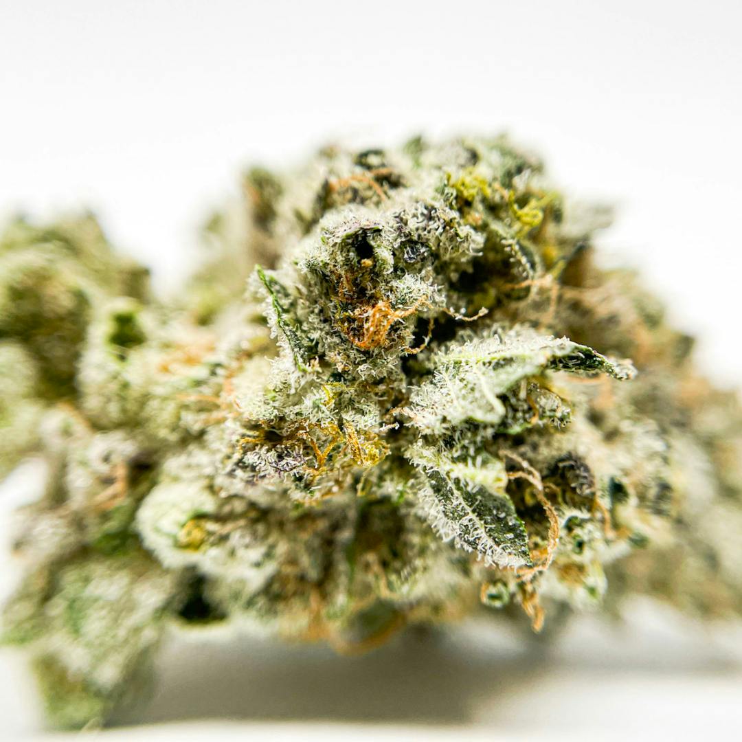 Truffle Monkey 3.5G Flower - image 1