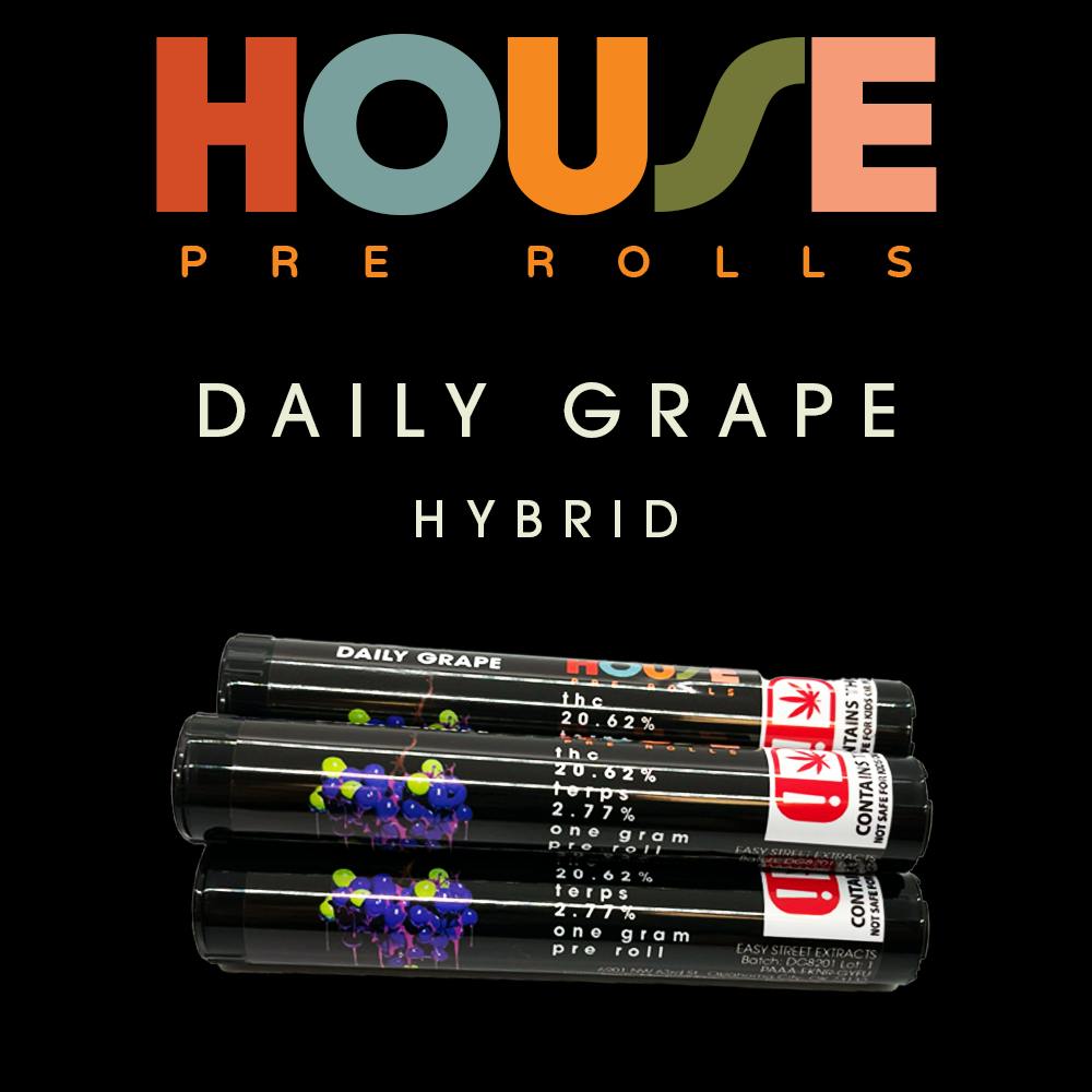 House - Daily Grape 1g Preroll - image 1
