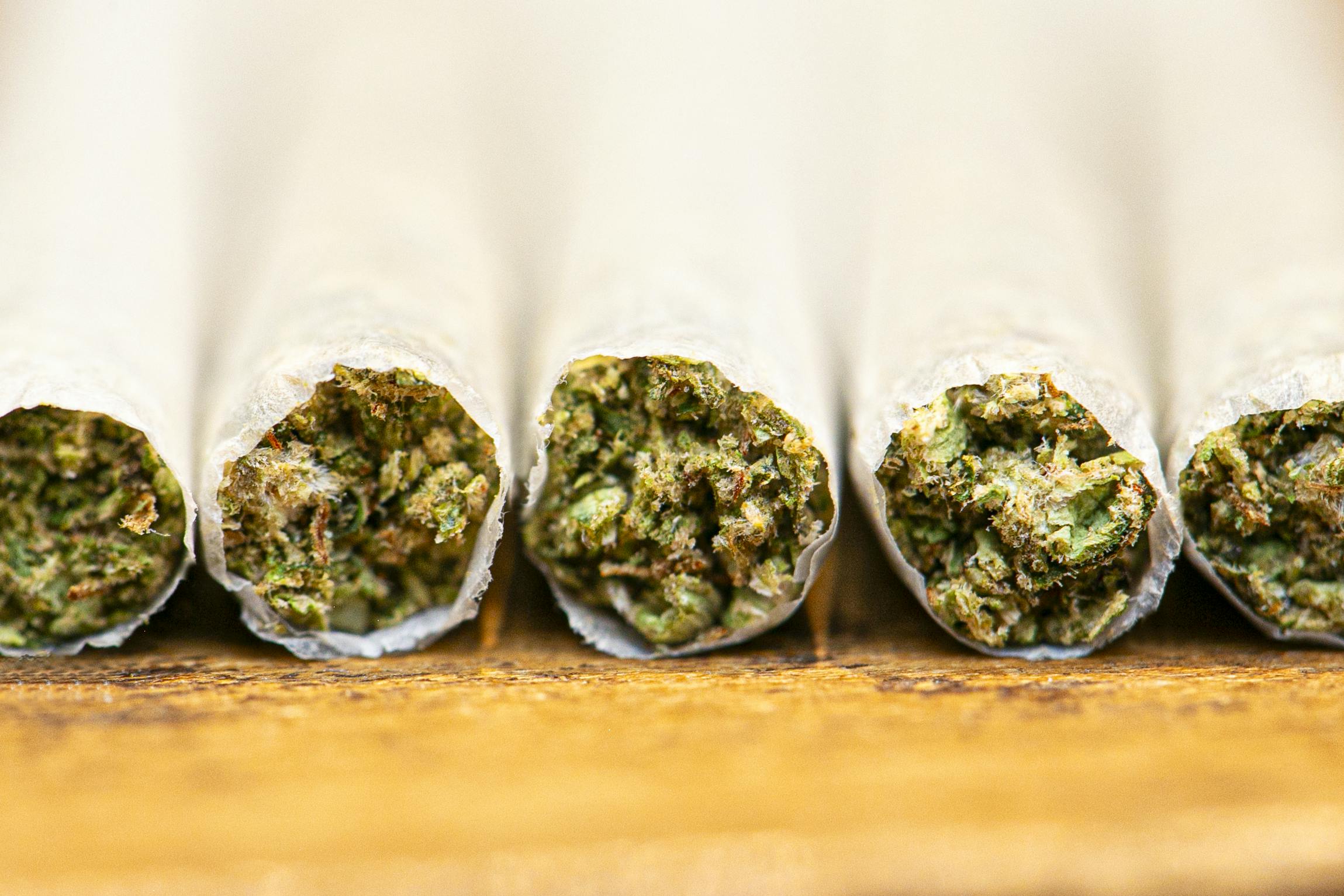 El Jointito 6-pack - Portofino Sunset - 6 x .5G [Mini Joint Pack] - image 4