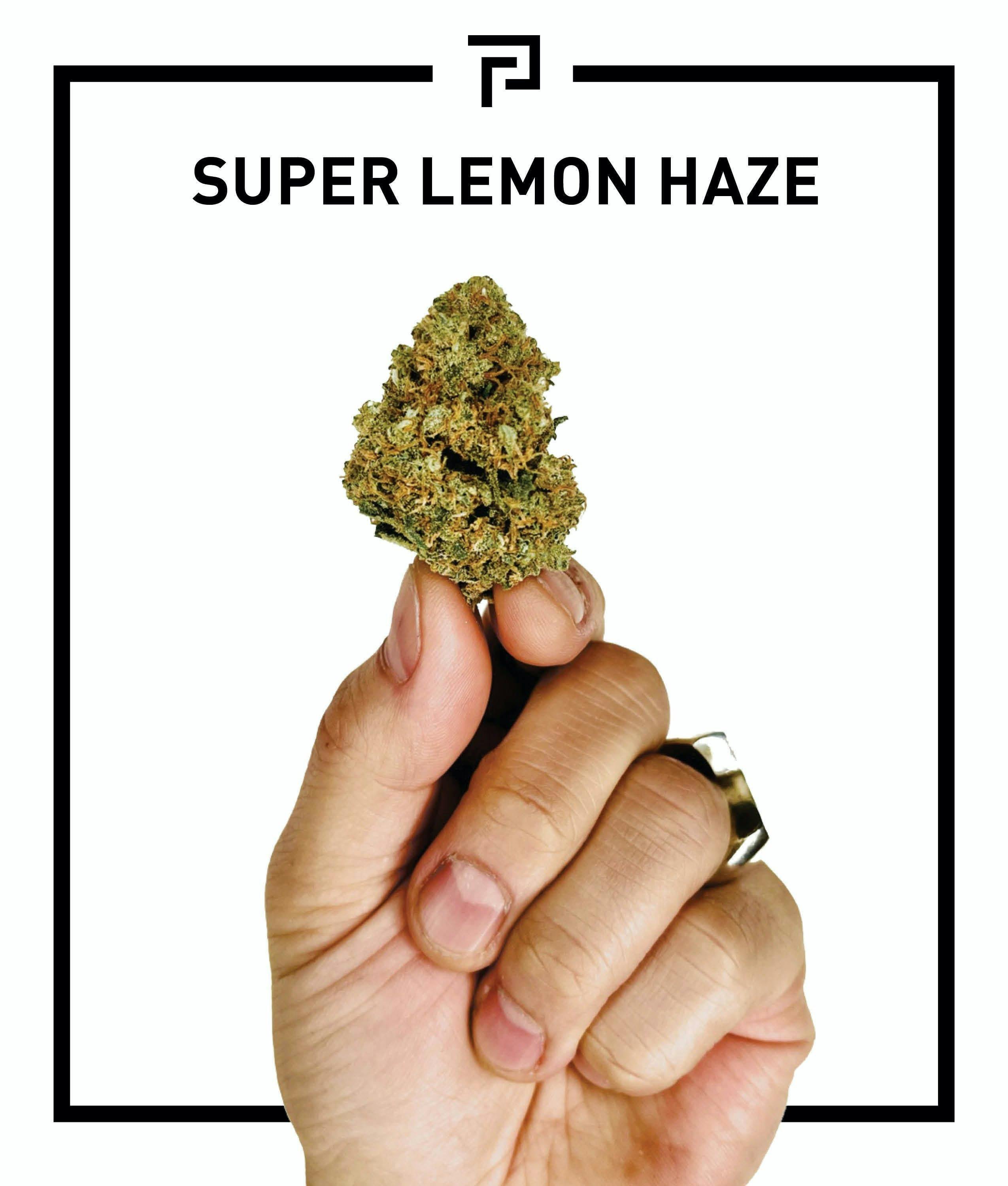 Super Lemon Haze | 3.5g Flower - image 1