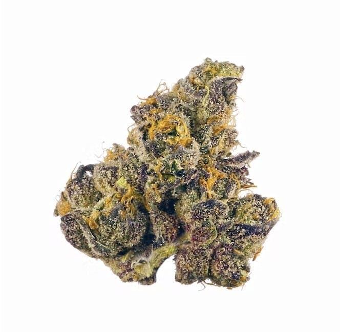 Crescendo | 3.5g Flower - image 1