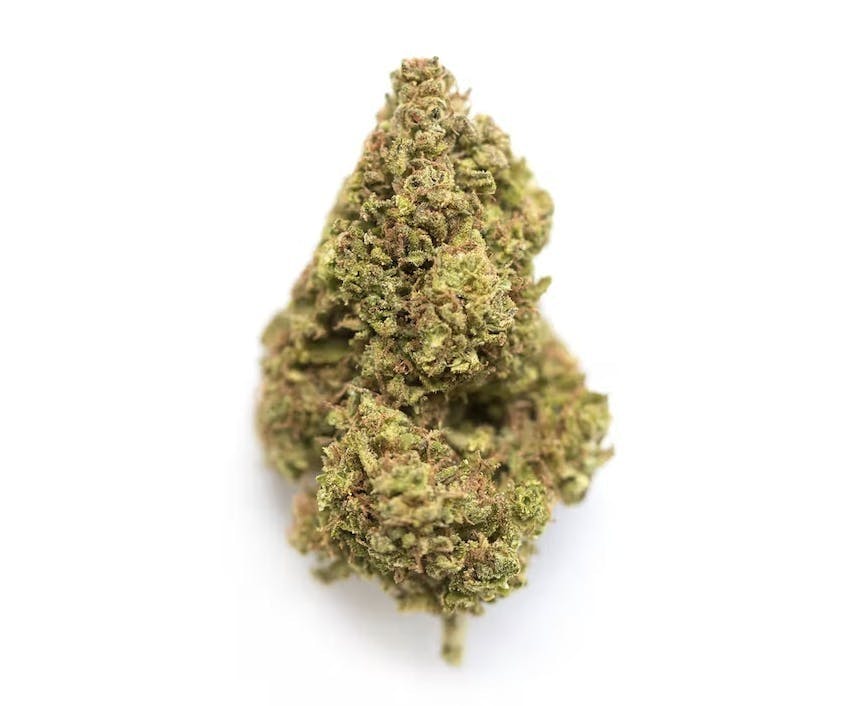 Gelonade | 3.5g Flower - image 1