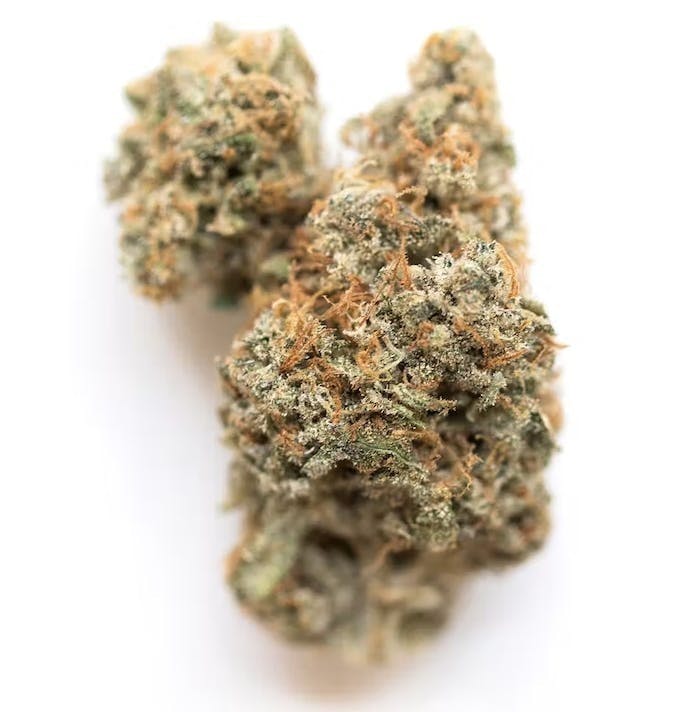 Georgia Pie | 3.5g Flower - image 1