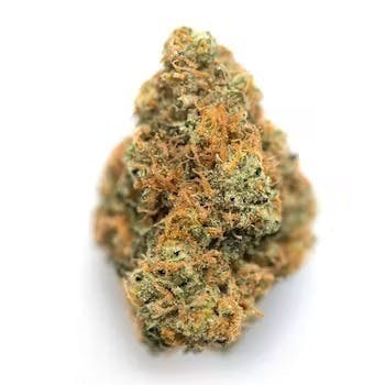 Glazed Apricot Gelato | 3.5g Flower - image 1