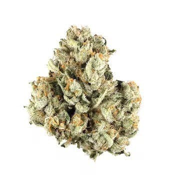 Grape Stomper OG | 3.5g Flower - image 1