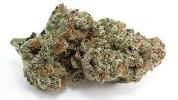 Horchata | 3.5g Flower - image 1