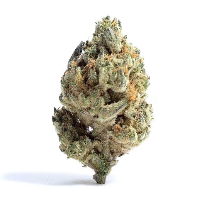 ICC x Kush Mints | 3.5g Flower - image 1