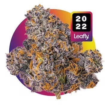 Jealousy | 3.5g Flower - image 1
