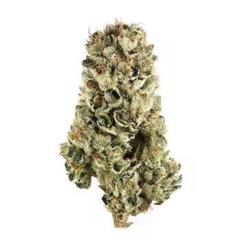 Marshmallow OG | 3.5g Flower - image 1