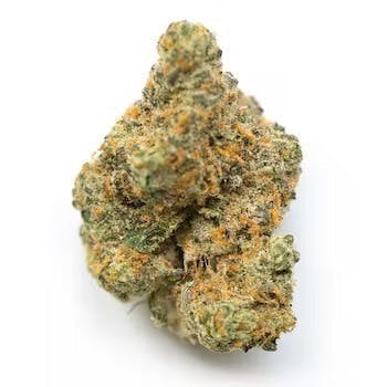 Moby Dick | 3.5g Flower - image 1