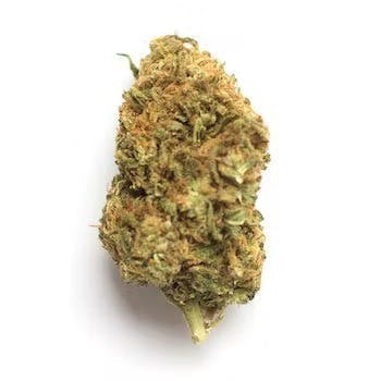 Monkey Mints | 3.5g Flower - image 1