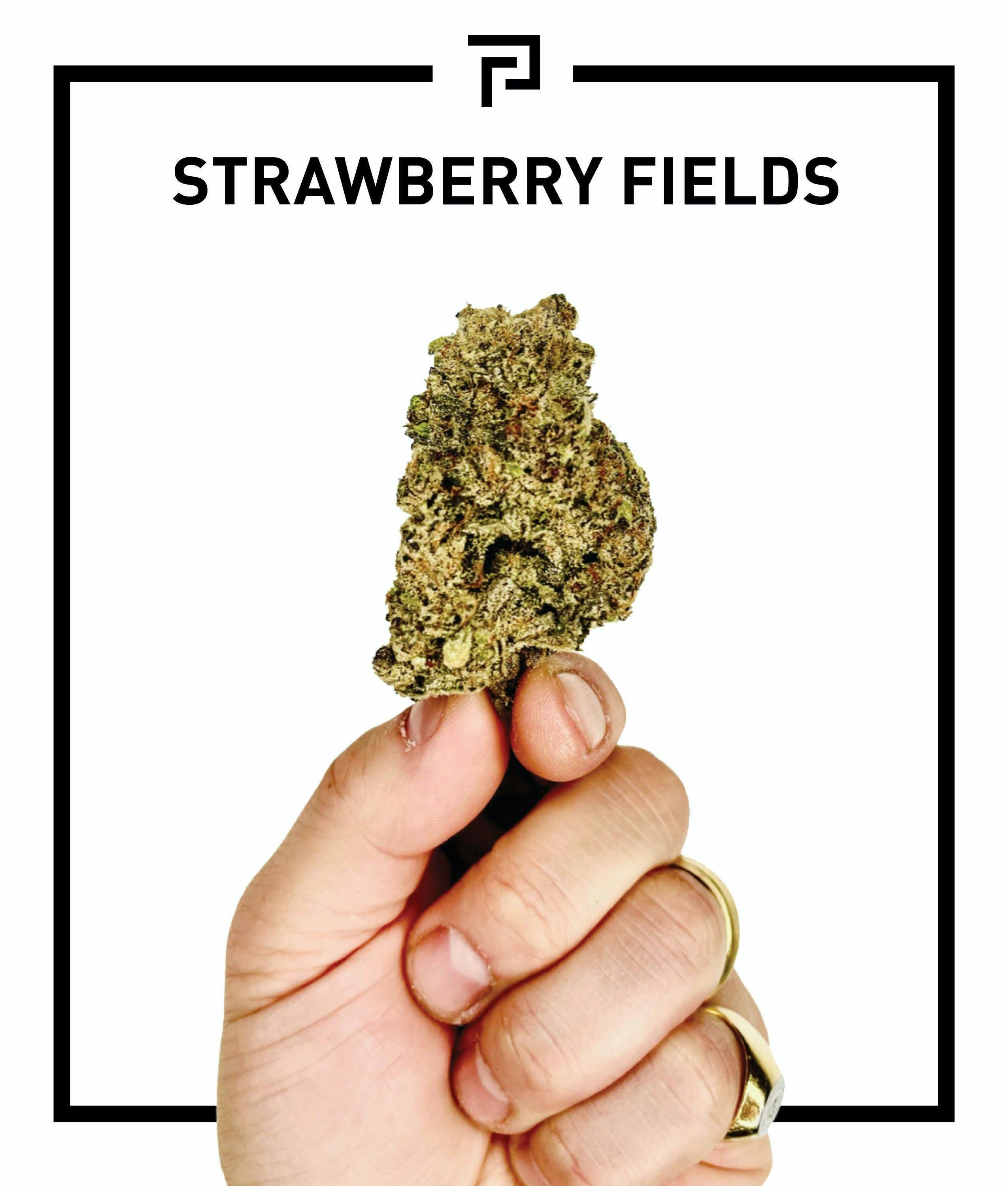 Strawberry Fields | 3.5g Flower - image 1
