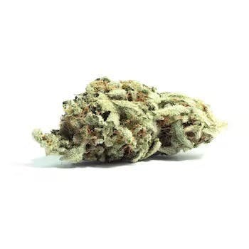 Sugar Shack | 3.5g Flower - image 1