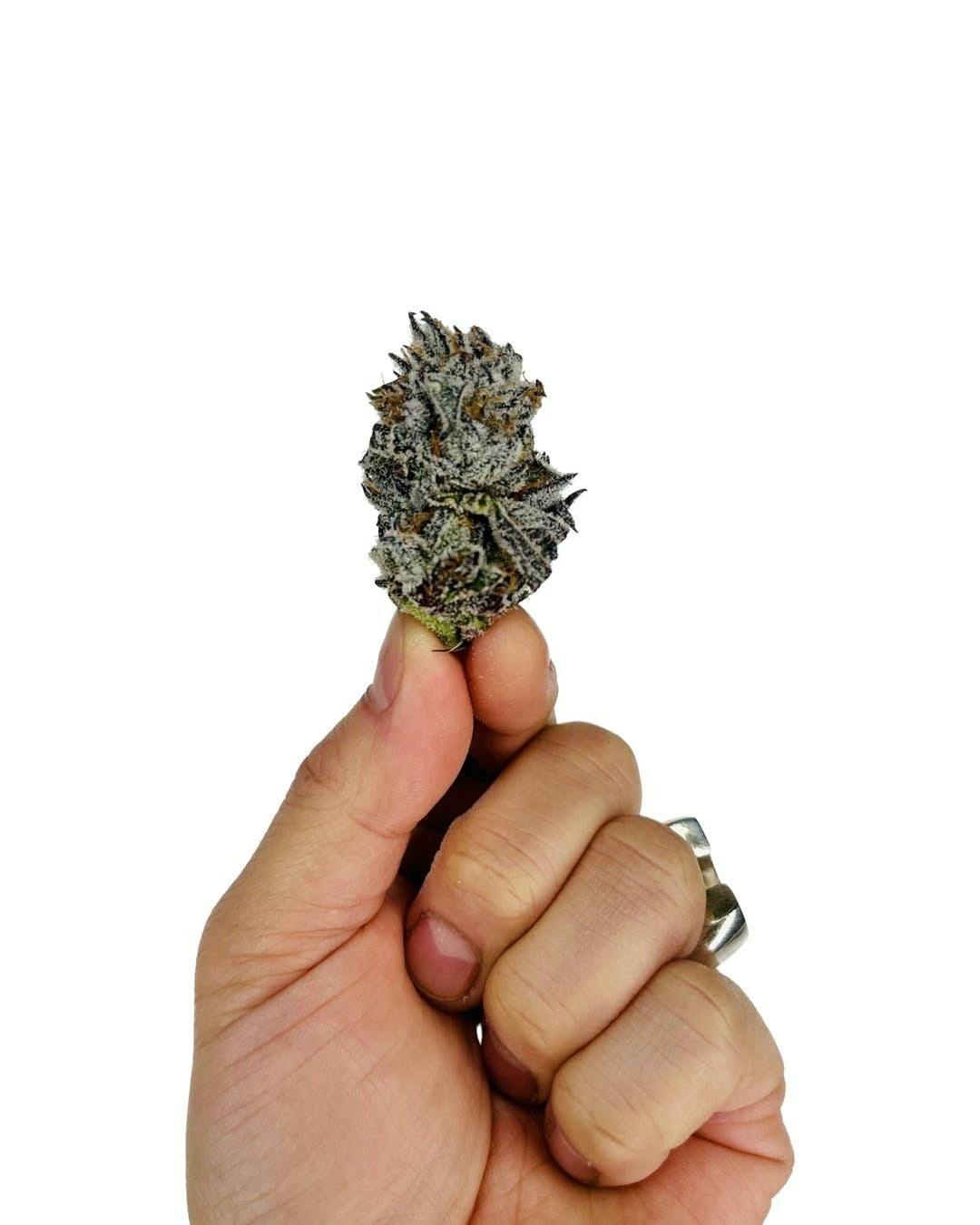 Tagalongz | 3.5g Flower - image 1