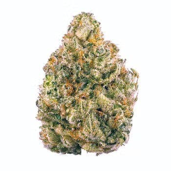 Tropicana Banana | 3.5g Flower - image 1