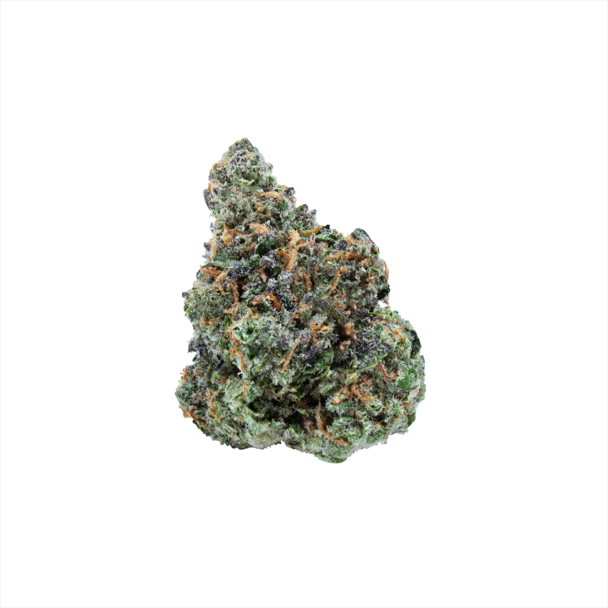 Rotten Tarts — Popcorn - image 1
