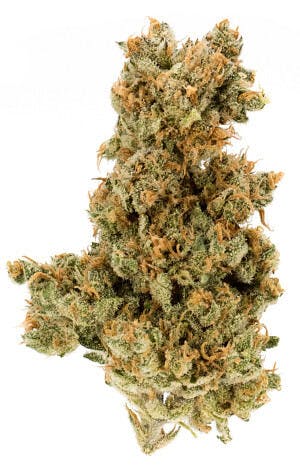 HOUSE PARTY EXOTICS - FLOWER - 28G - LITTLES - HYBRID - GELATO MINTZ - image 1