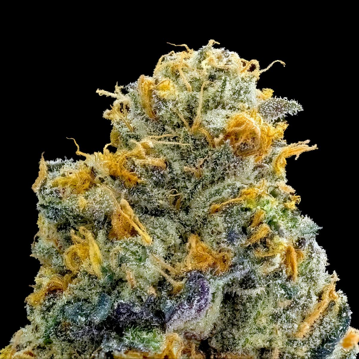 Blue Lotus Gold Blend Cartridge [1g] - image 4