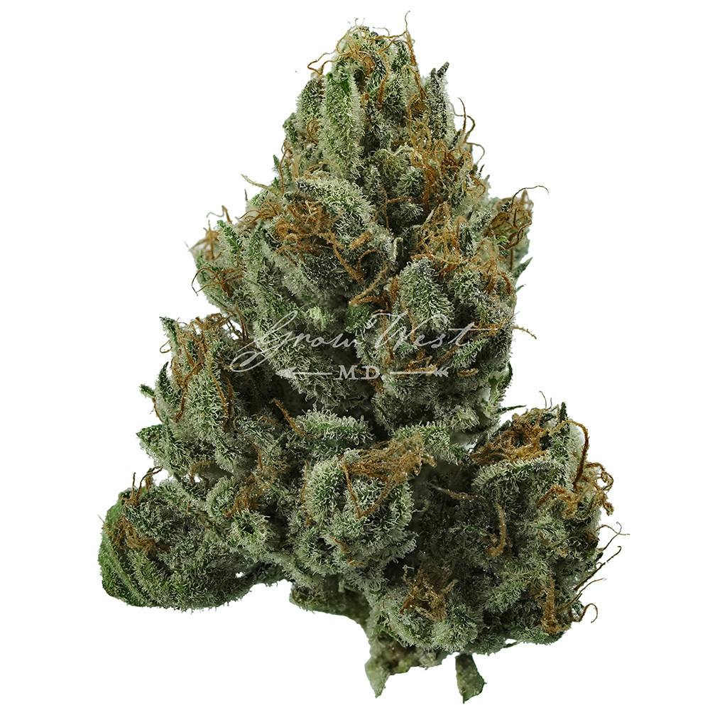 Magic Haze | Gold | Trimmed | 3.5g - image 1