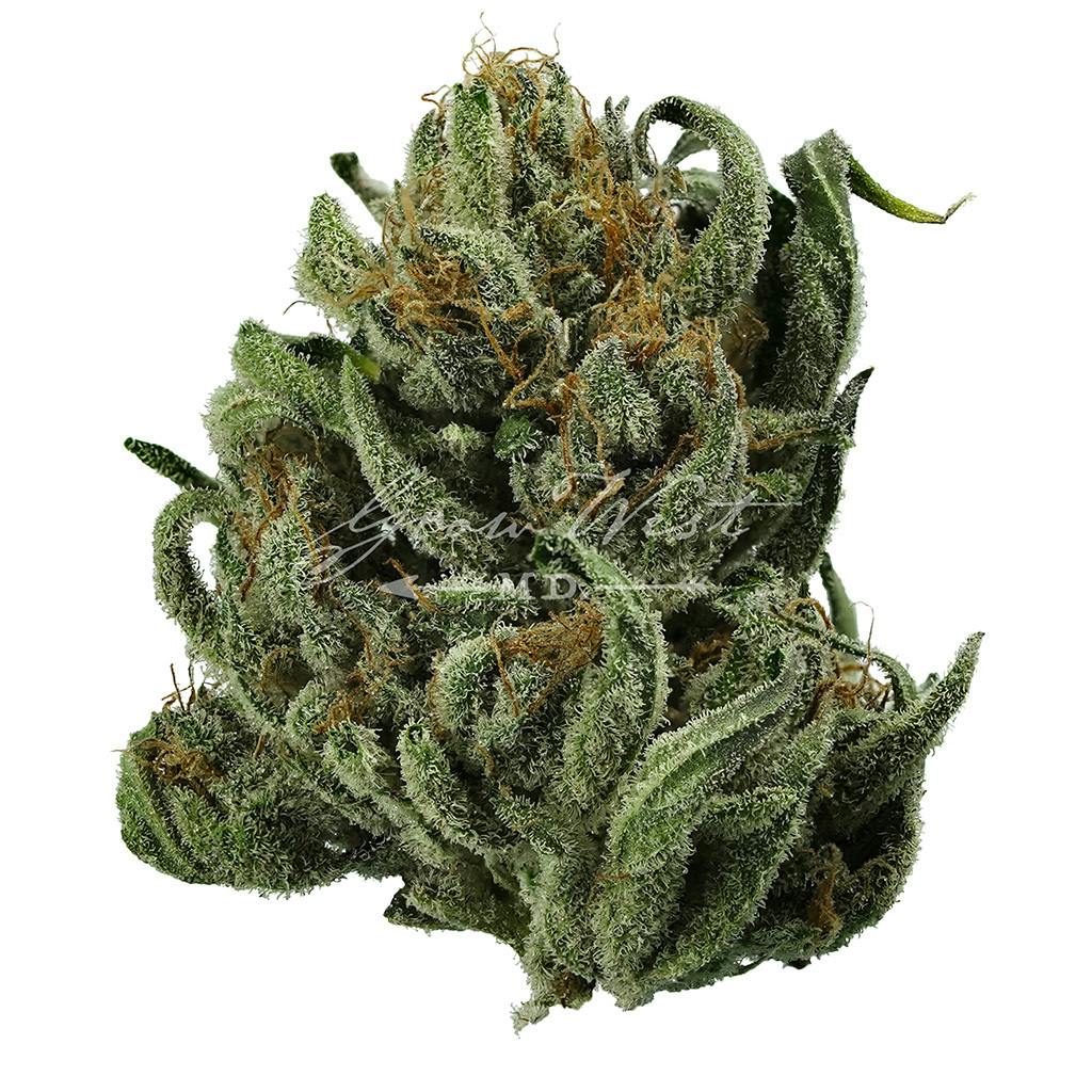 Magic Haze | Silver | Untrimmed | 3.5g - image 1