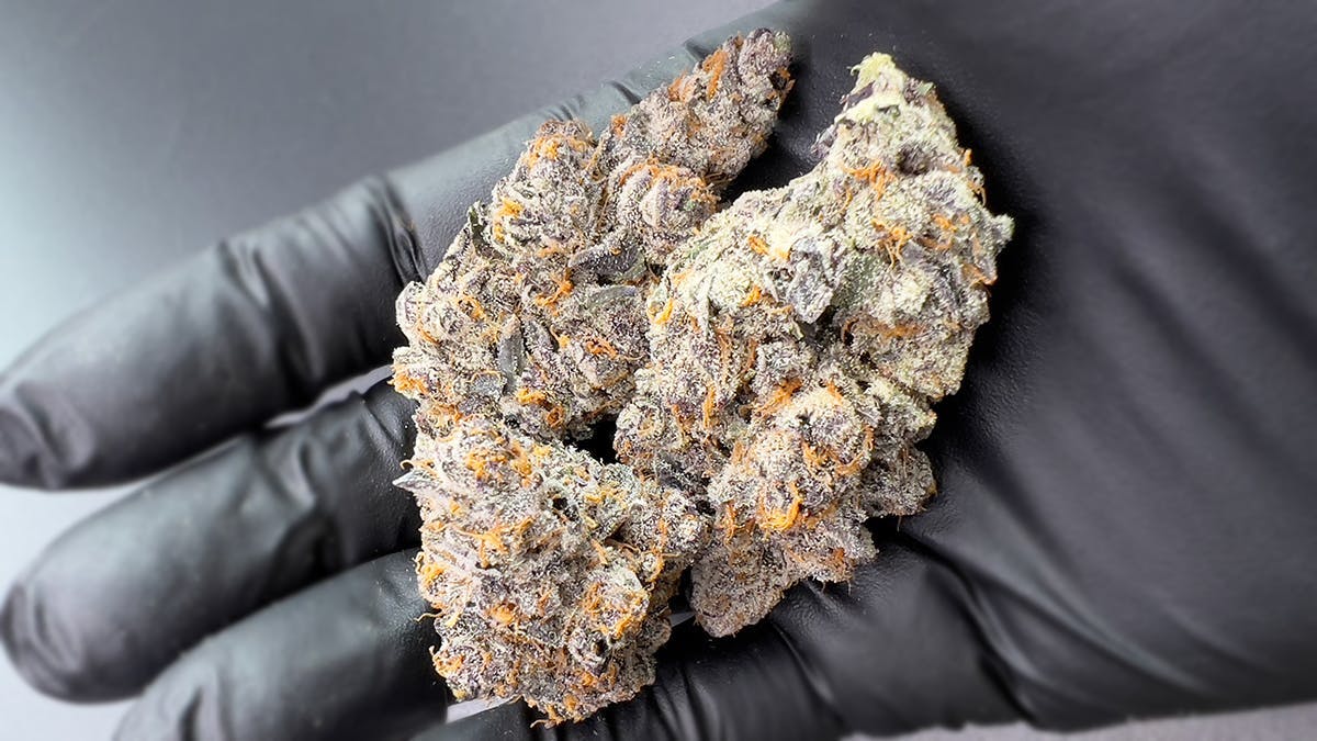 FREON | BIG BUDS - image 2