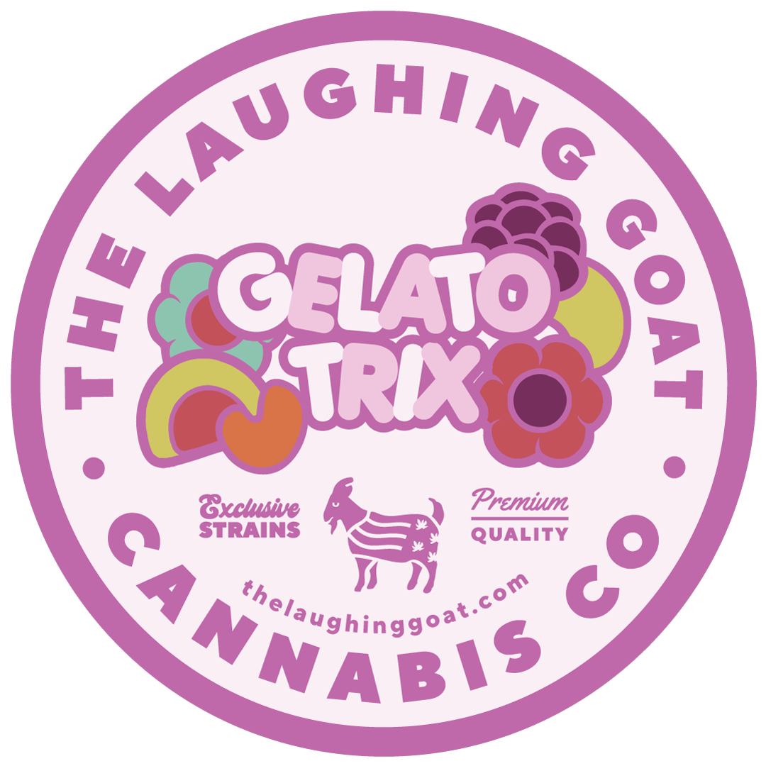 GELATO TRIX | BIG BUDS - image 3