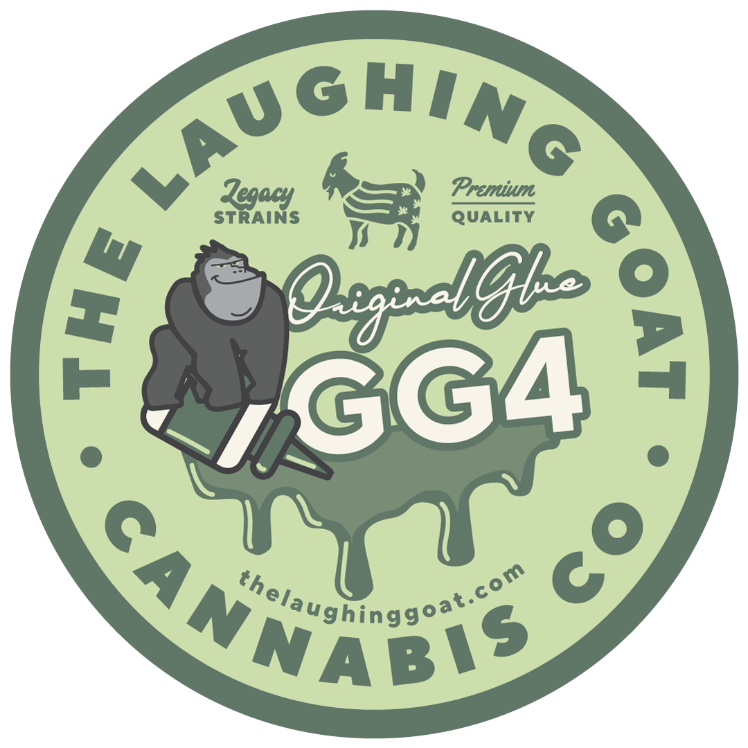 GG4 / ORIGINAL GLUE / GORILLA GLUE | BIG BUDS - image 4