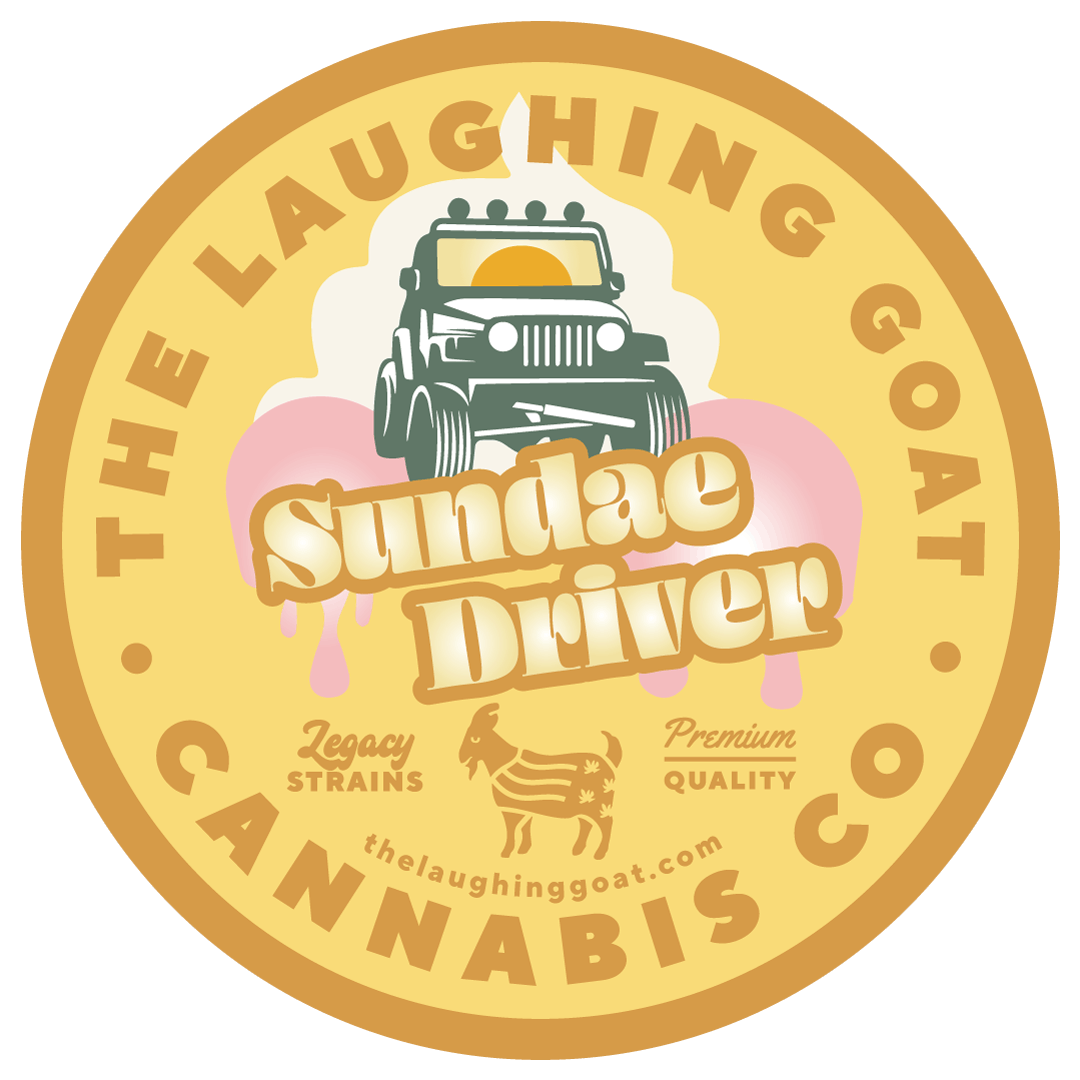 SUNDAE DRIVER | SMALL BUDS - image 1