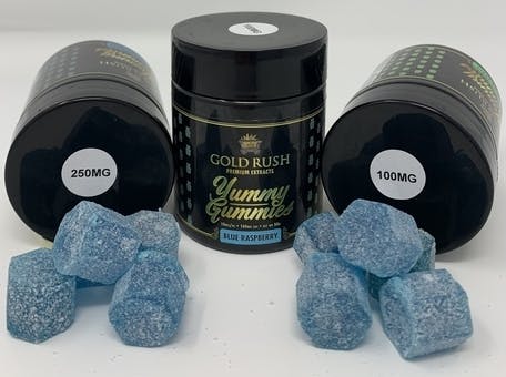 Yummy Gummy 100mg - Blue Raspberry - image 1