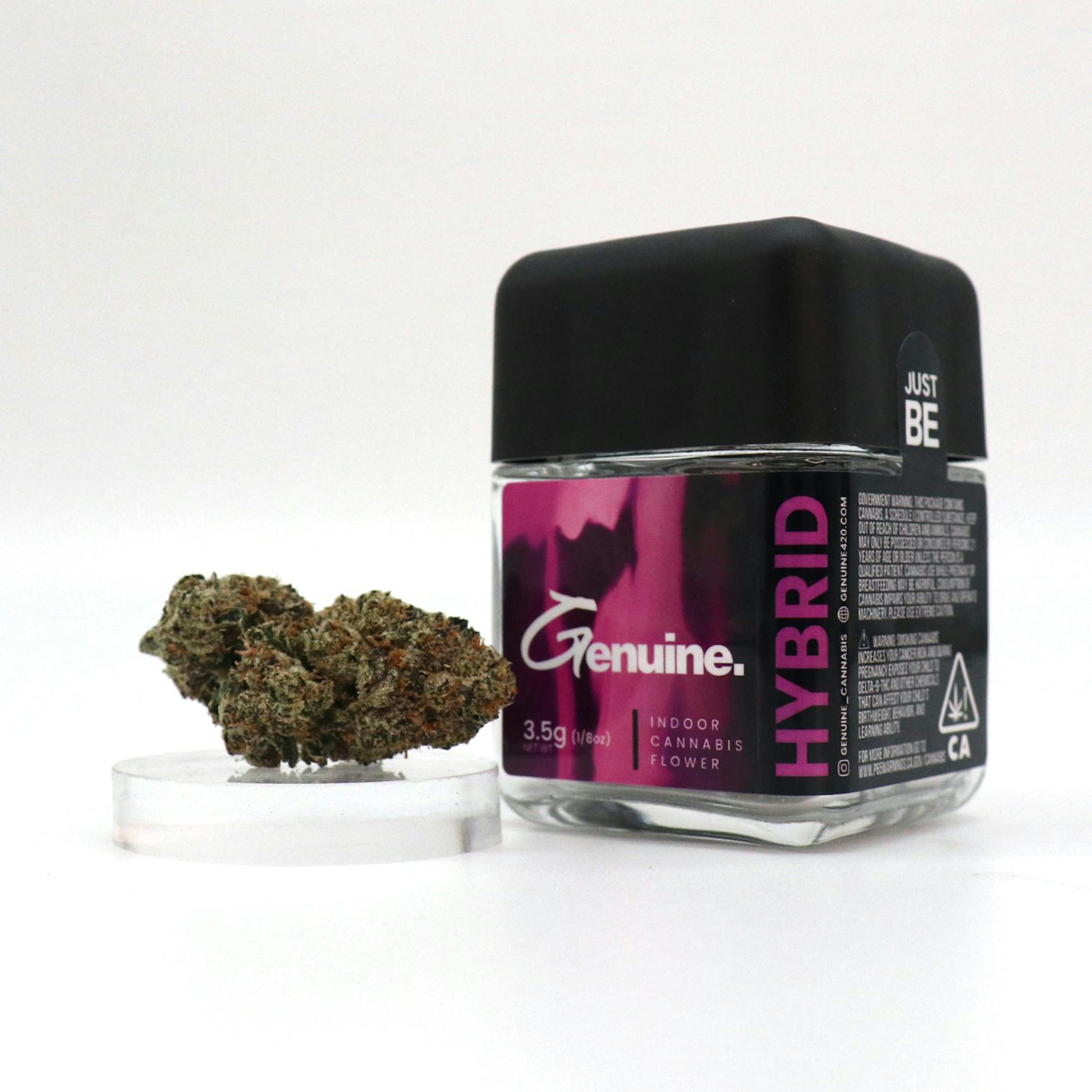 Gelato #33 - Indoor Flower - 3.5g (Jar) - image 1