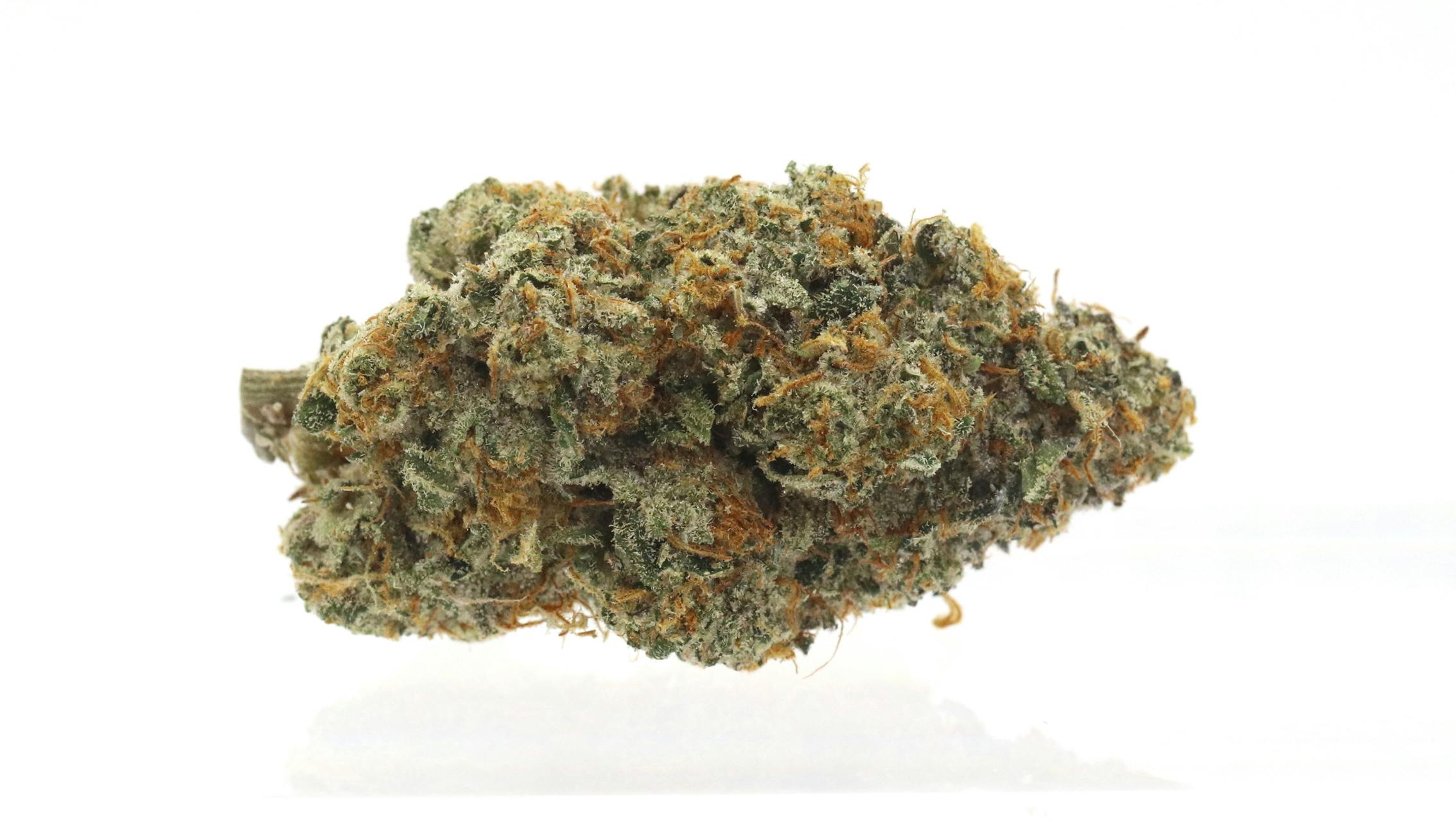 Gelato #41 - Indoor Flower - 3.5g (Jar) - image 1