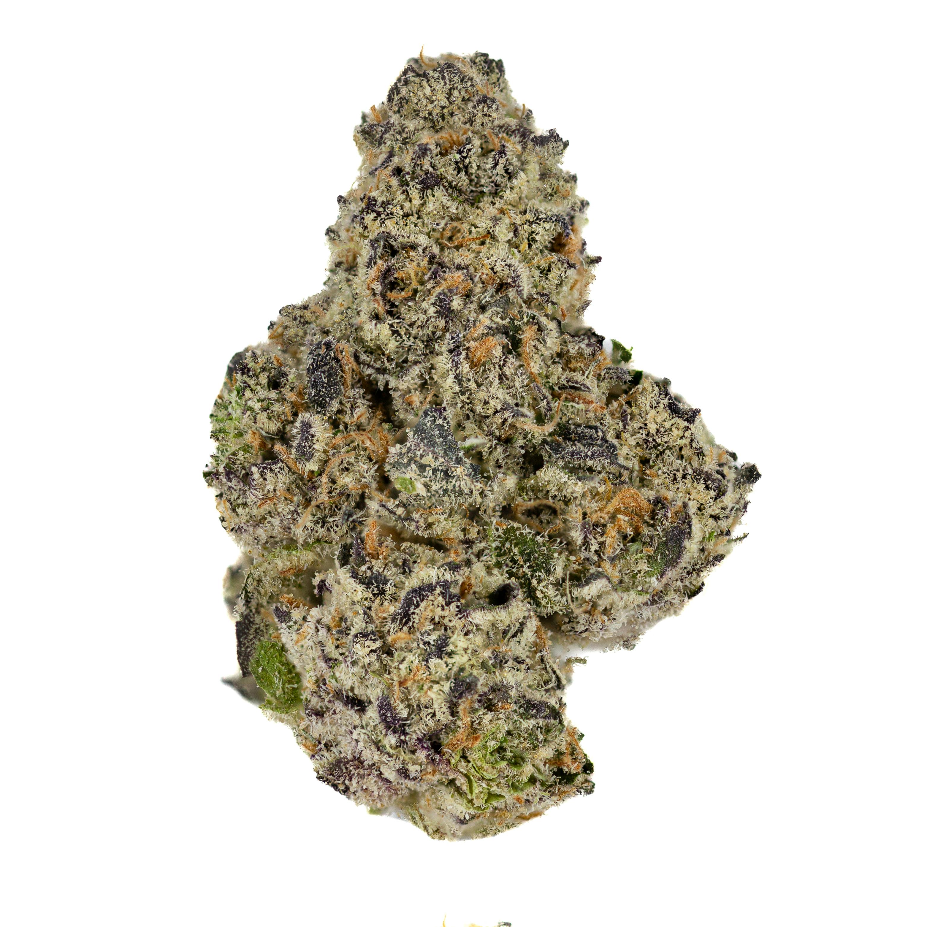 Pink Certz #9 1G Pop Tube - image 1