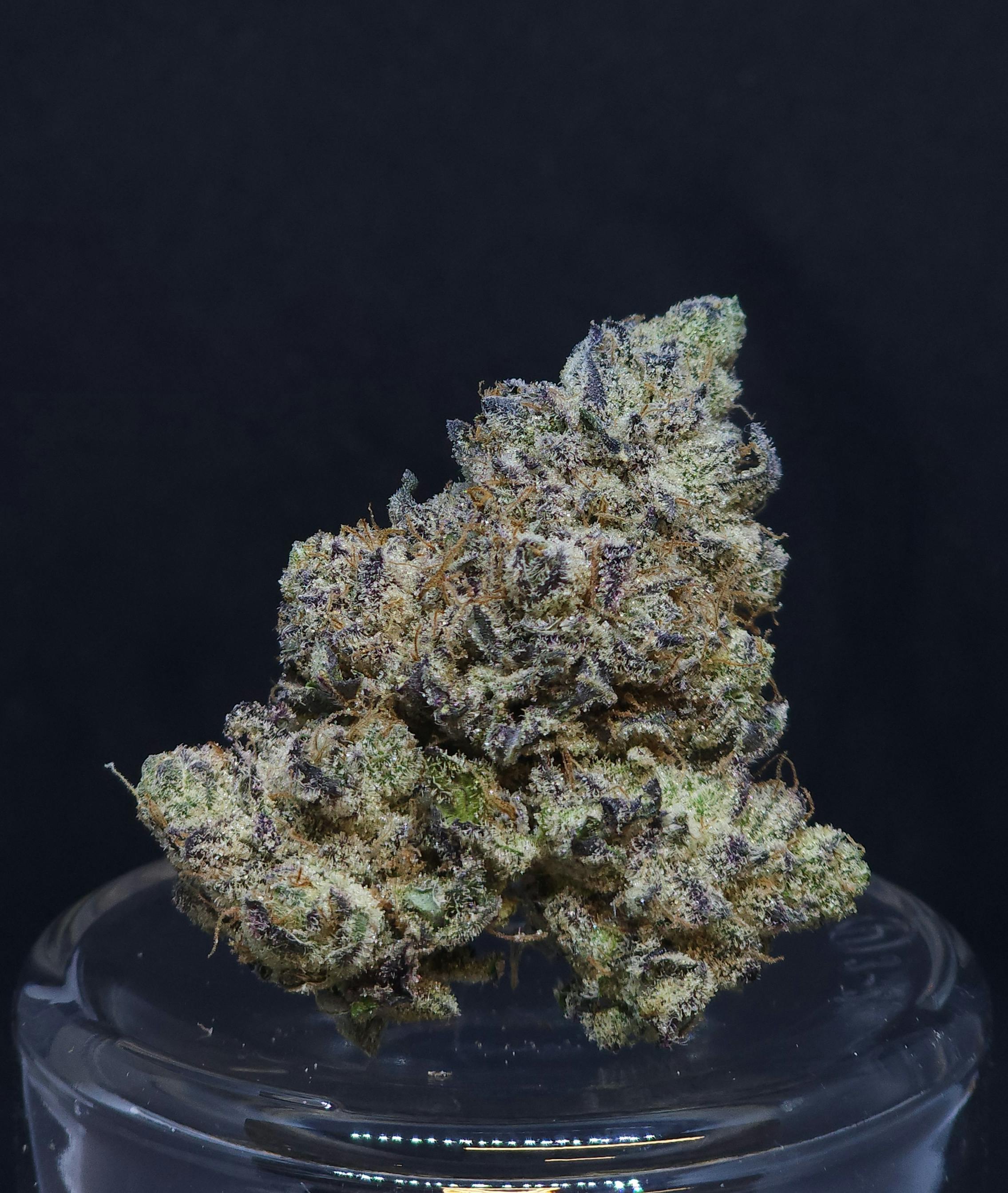 Hash Burger .5g Pre-Roll - image 1