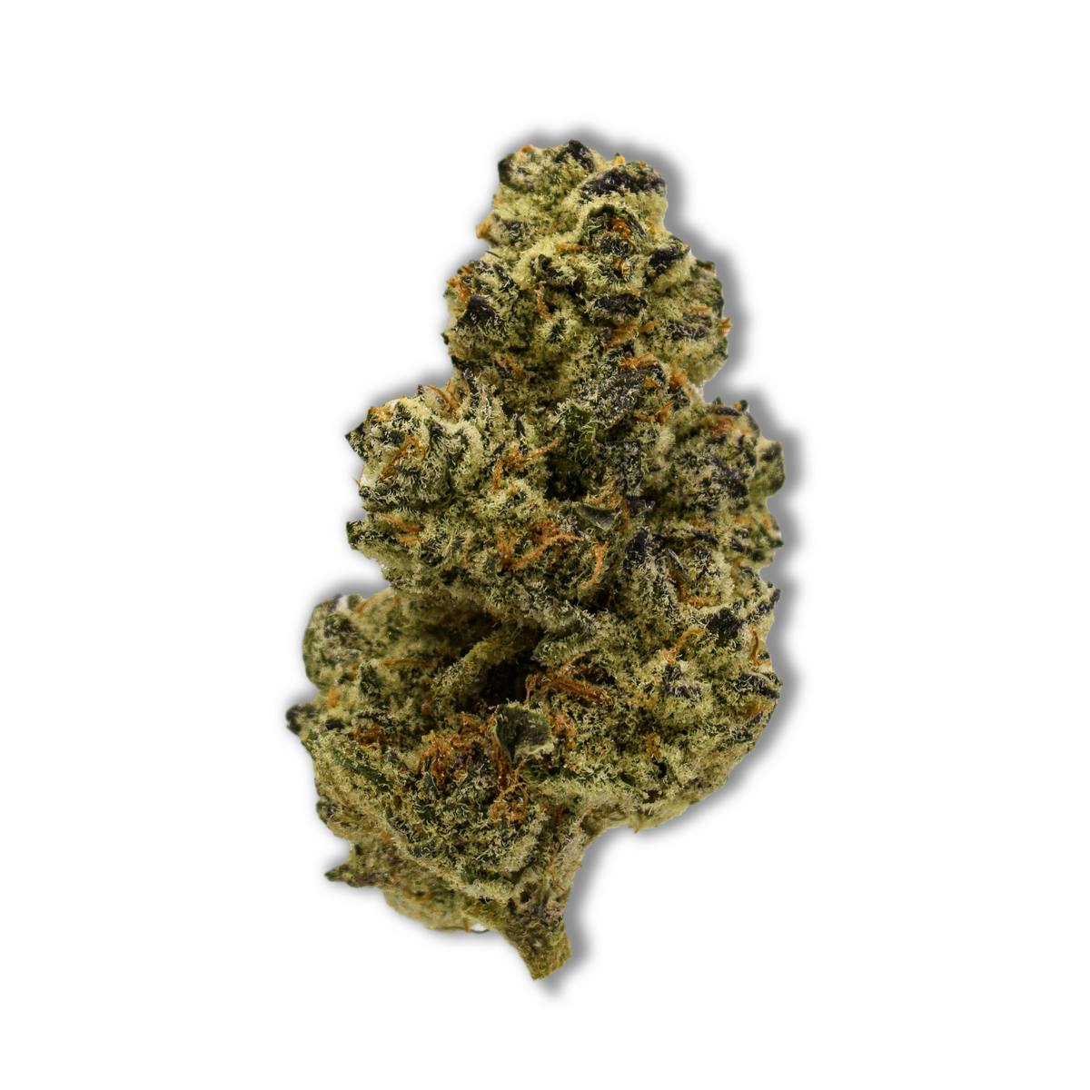 Chief Premium - White Truffle Cheese - Prepackaged 3.5g - image 1