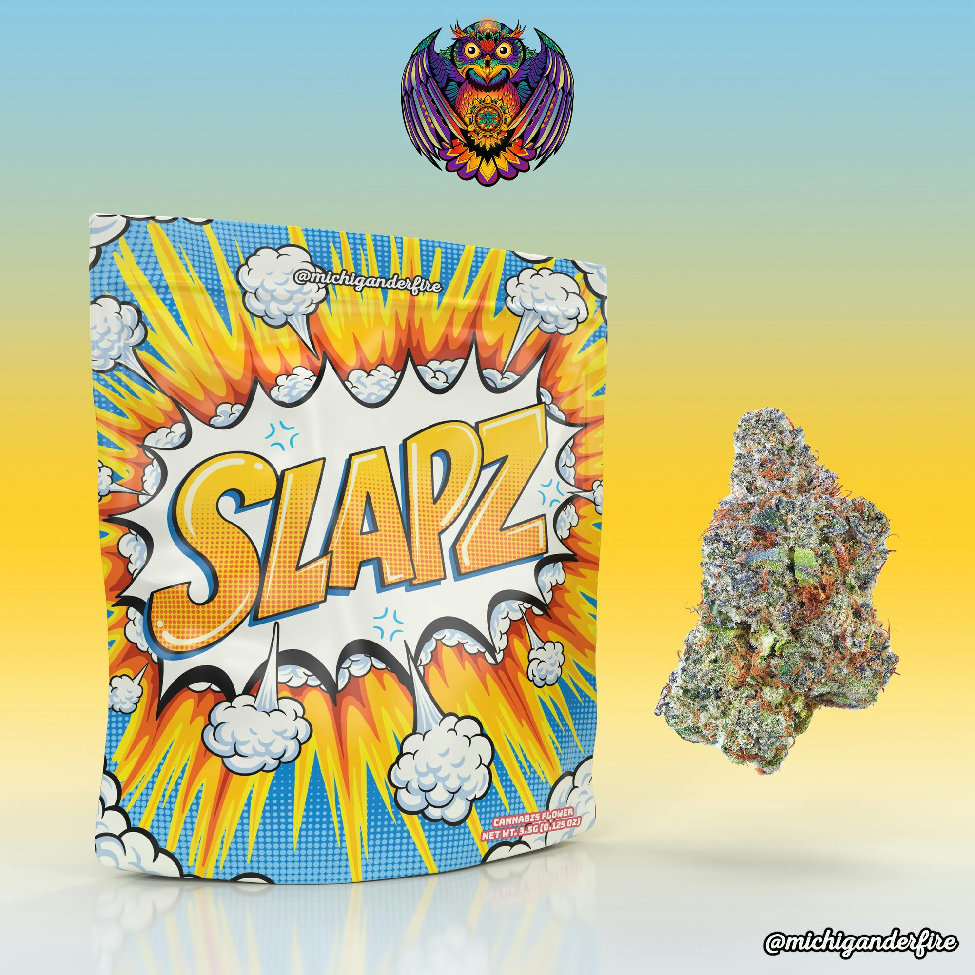 Michigander Fire - Slapz - image 1